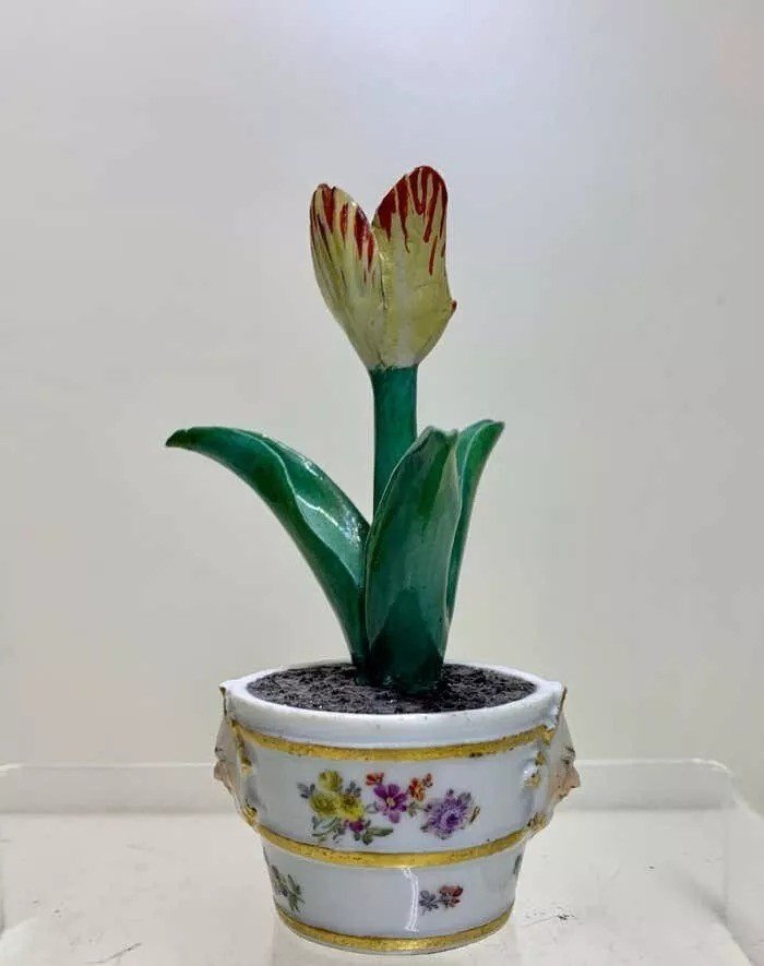 Rare Tulipe En Baignoire Meissen Marcolini En Porcelaine, Circa 1780-photo-4