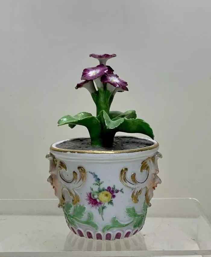 Rare Plante Fleurie En Baignoire En Porcelaine Meissen Marcolini, Circa 1780-photo-1