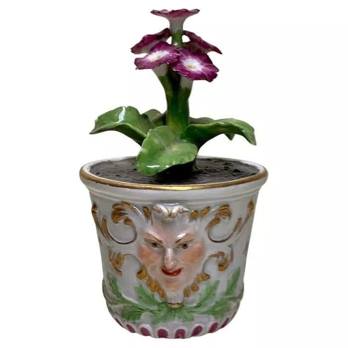 Rare Plante Fleurie En Baignoire En Porcelaine Meissen Marcolini, Circa 1780