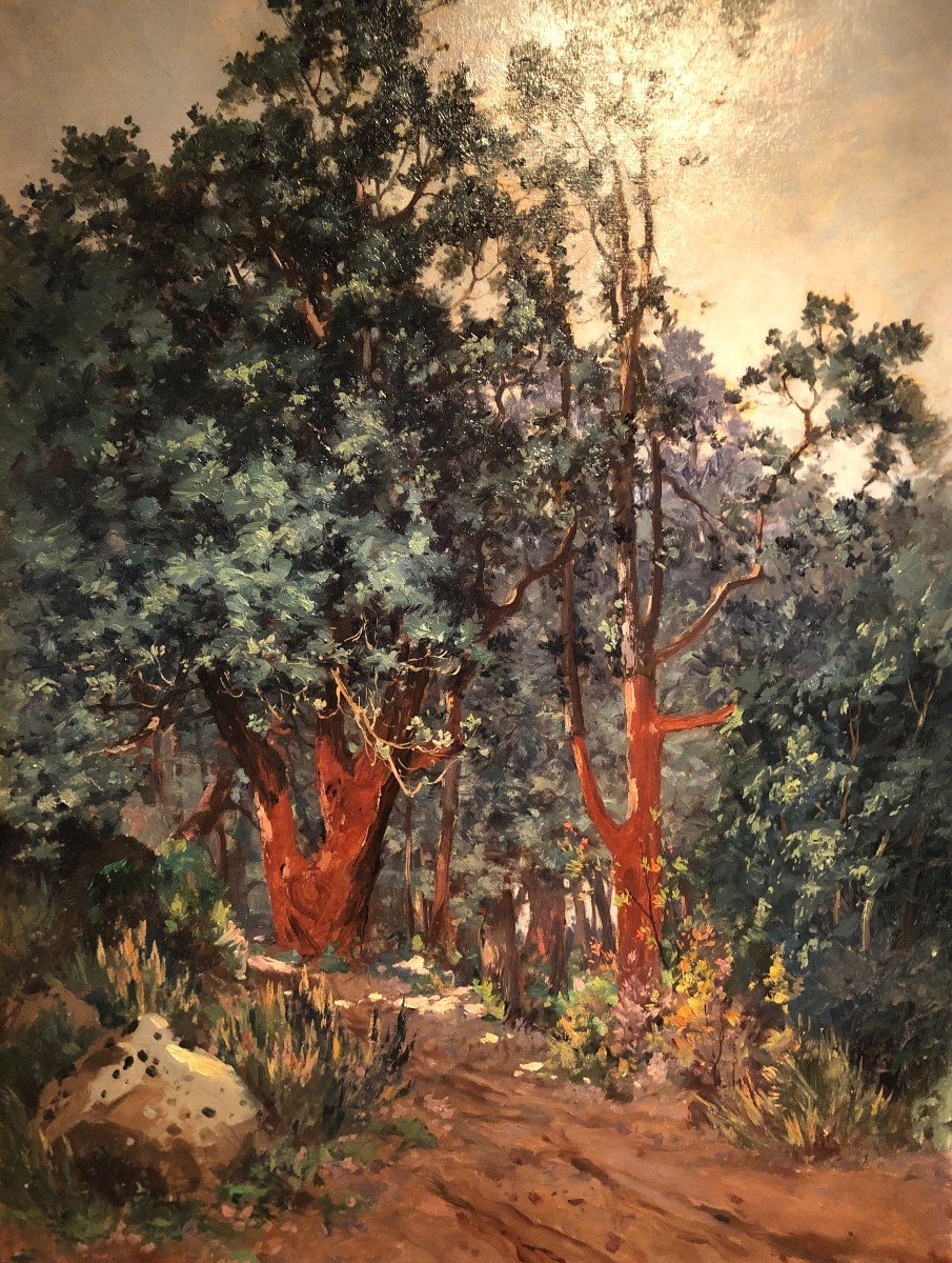 Huile Sur Toile "sentier Forestier" Eugène Deshaye-photo-2