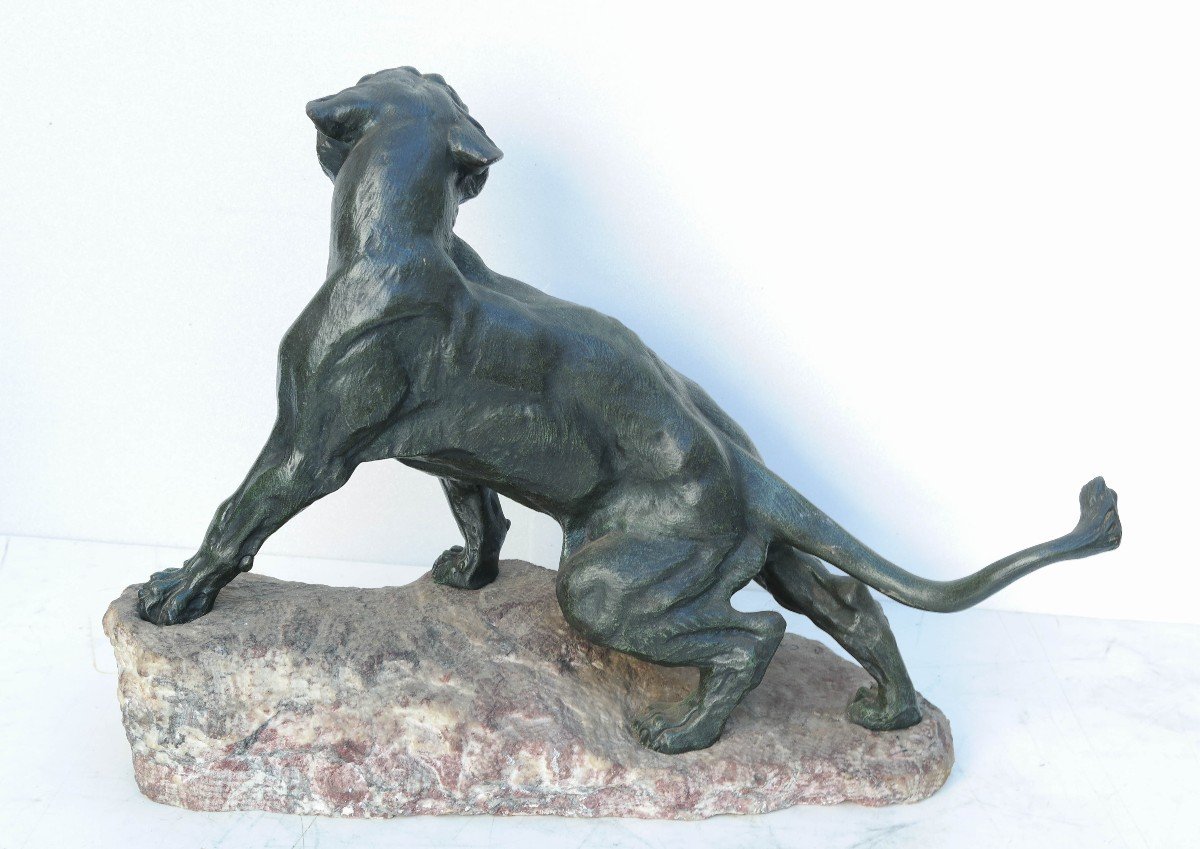 Roaring Lioness Bronze Sculpture Signed Cartier-photo-2