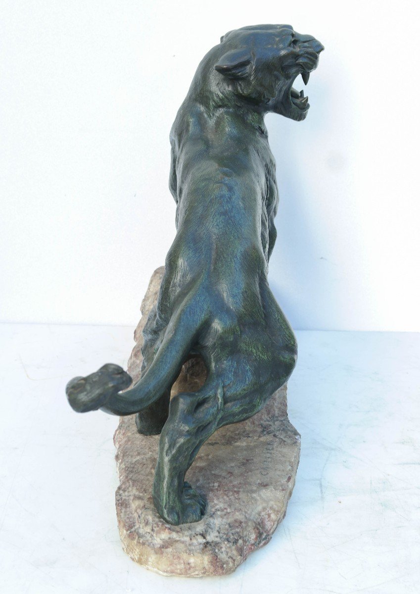 Roaring Lioness Bronze Sculpture Signed Cartier-photo-3