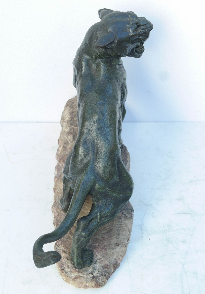 Roaring Lioness Bronze Sculpture Signed Cartier-photo-7