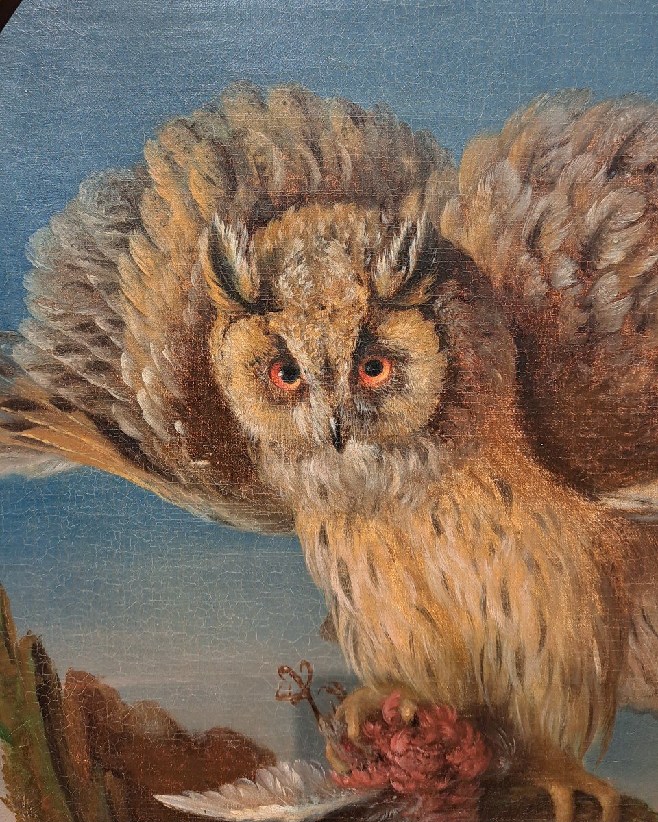 Follower Of Jean Jacques Bachelier (1724-1806), The Owl And Its Prey, Oil-photo-2