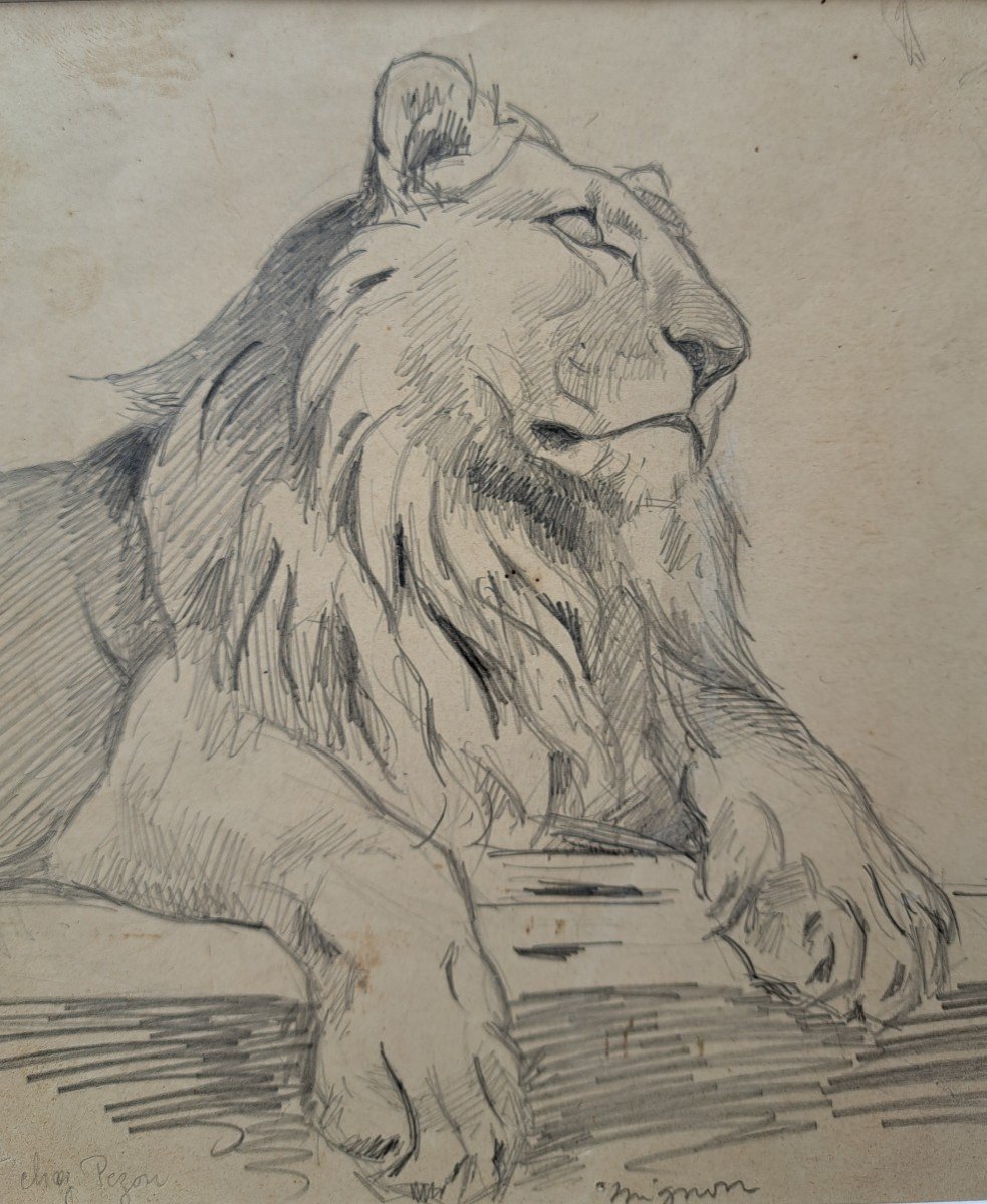 Eugène-antoine Borga (1885-1964), Study Of Lion-photo-2