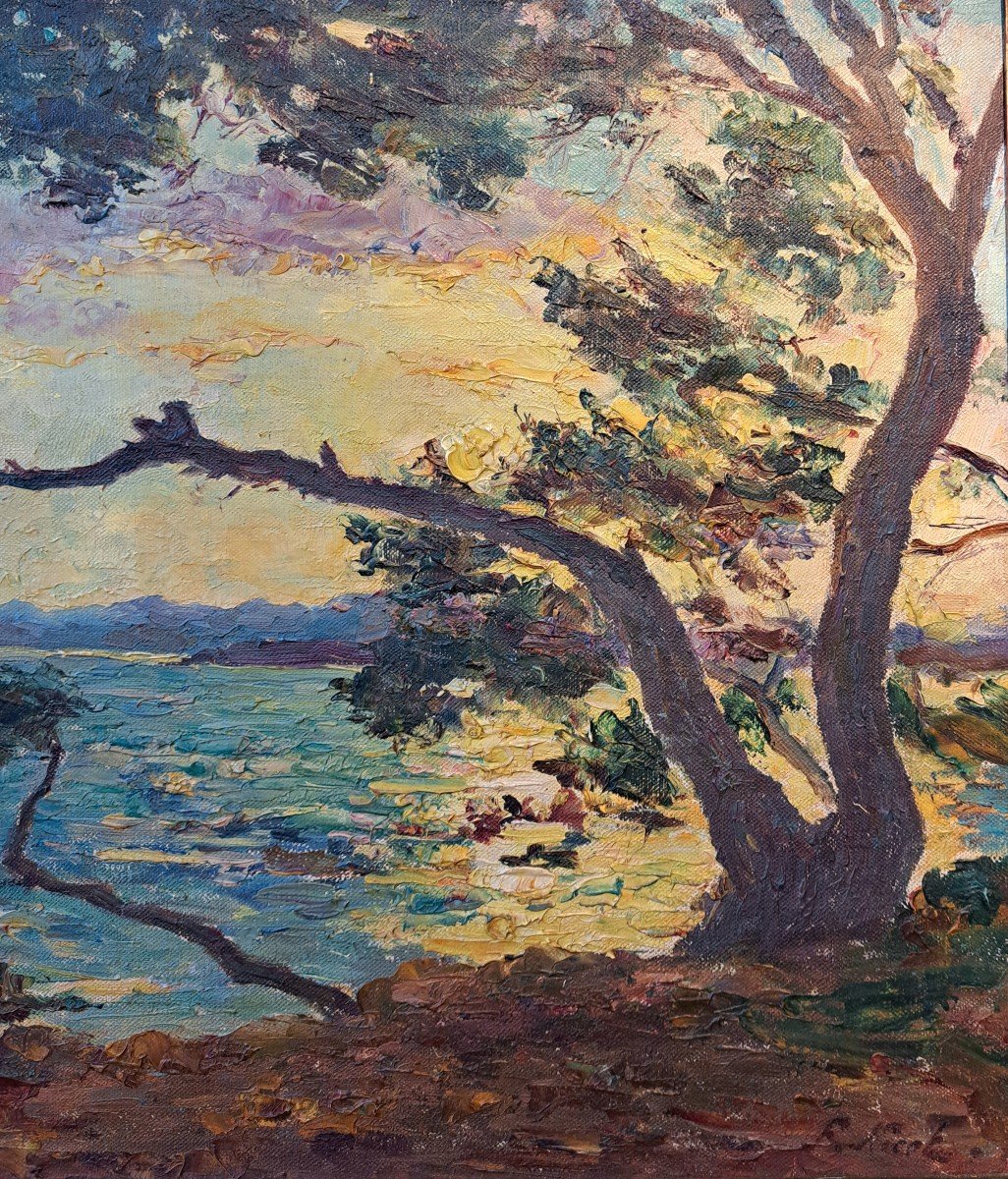 François Nicot (1873-1945) , Le coucher de soleil sur la côté-photo-3