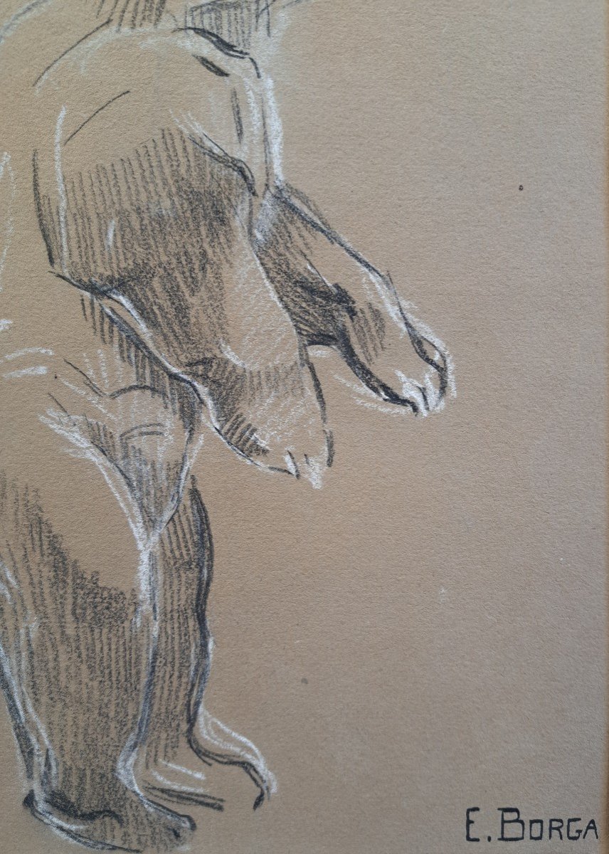 Eugène-antoine Borga (1885-1964), Study Of Bear-photo-3