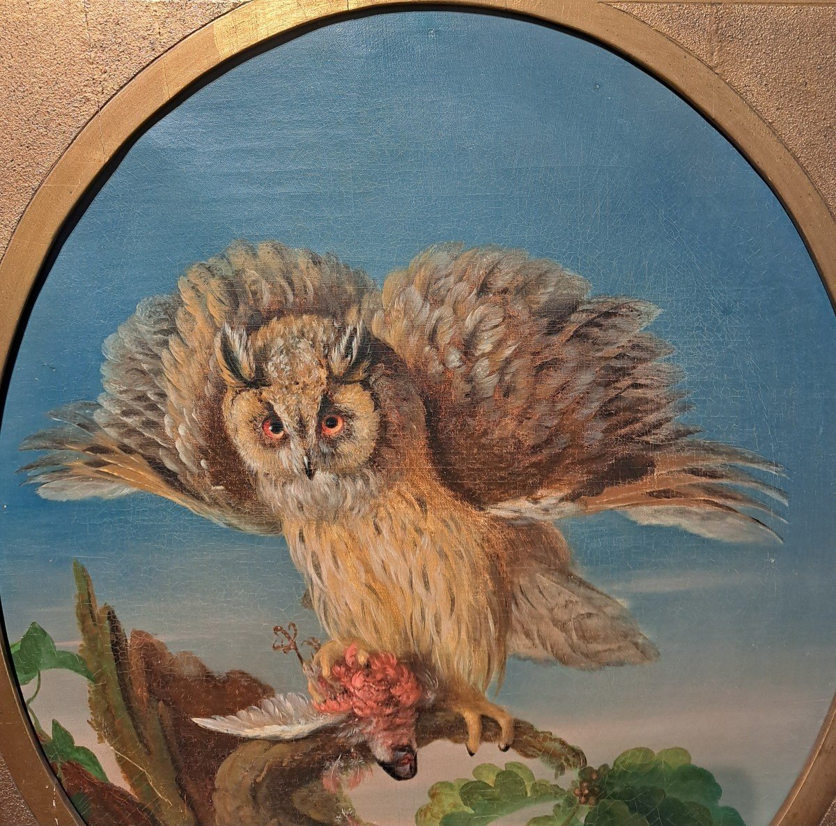 Follower Of Jean Jacques Bachelier (1724-1806), The Owl And Its Prey, Oil-photo-3