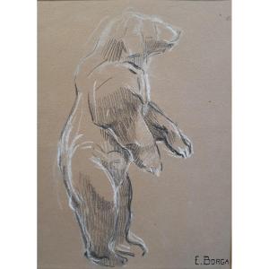 Eugène-antoine Borga (1885-1964), Study Of Bear