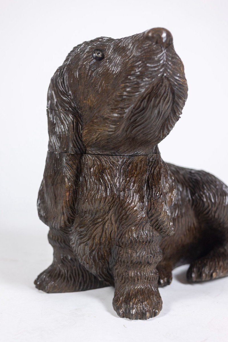 Black Forest Style Carved Basswood Dog, Circa 1900-photo-4