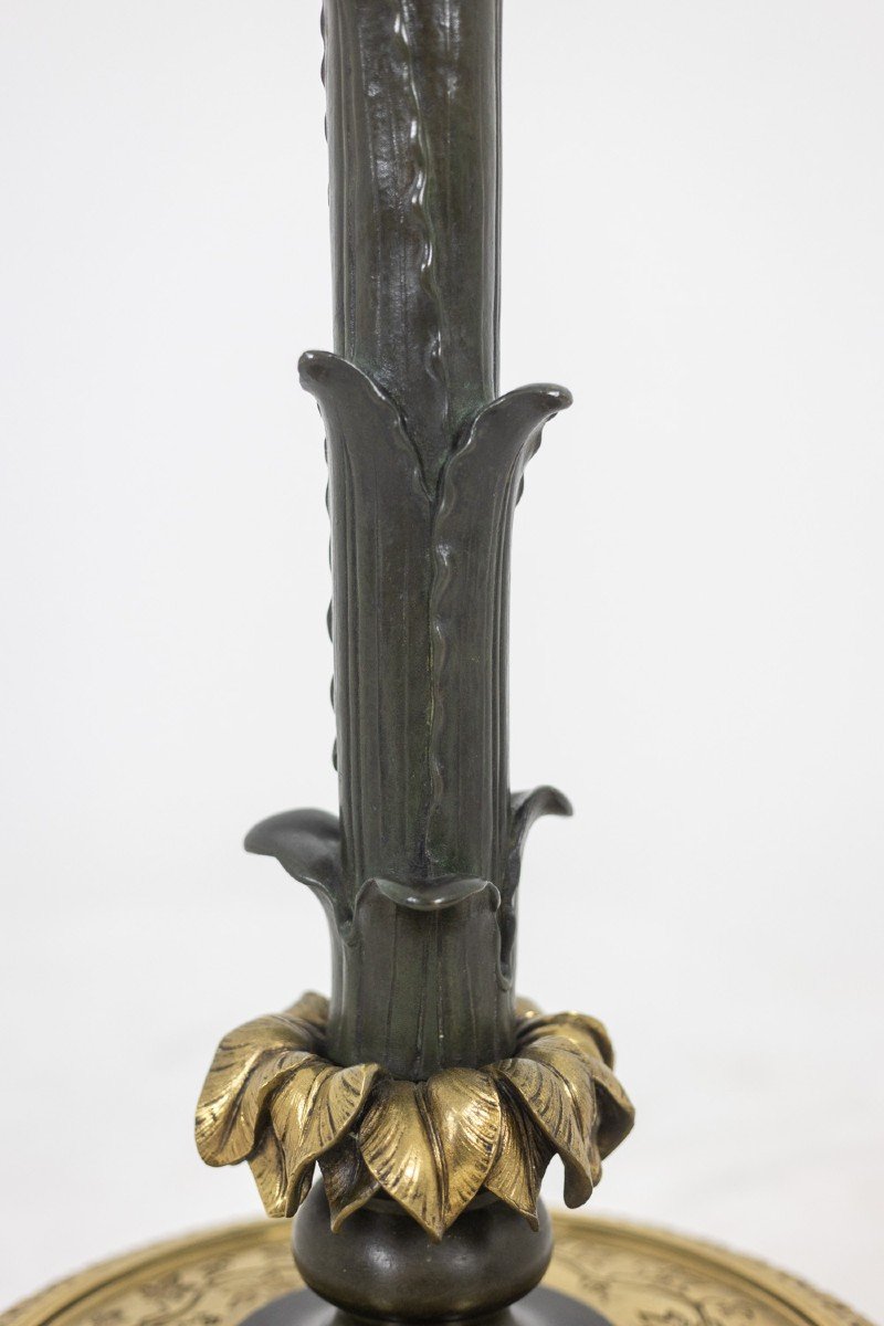 Restoration Style Floor Lamp In Bronze With Two Patinas. Circa 1900. Ls6115817y-photo-3