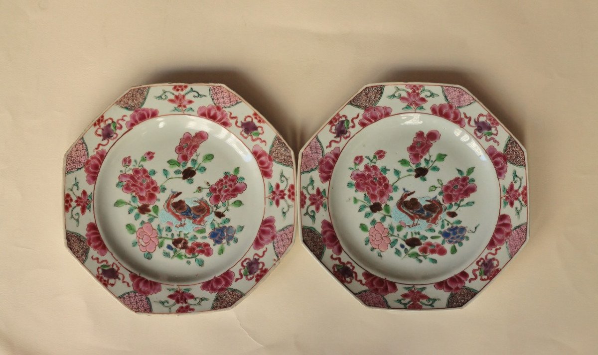 Pair Of Chinese Porcelain Plates With Famille Rose Decor, 18th Century.