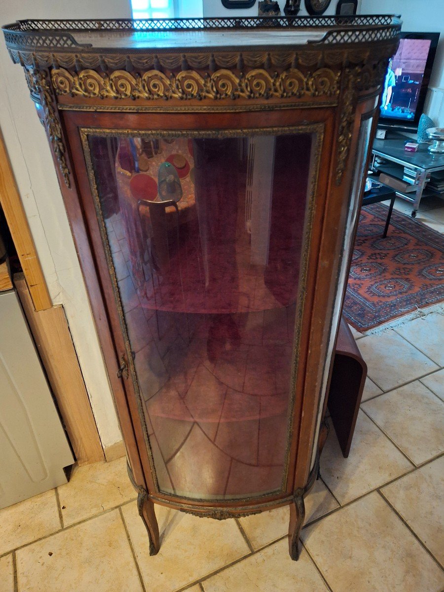 Curved Display Case N III -photo-2