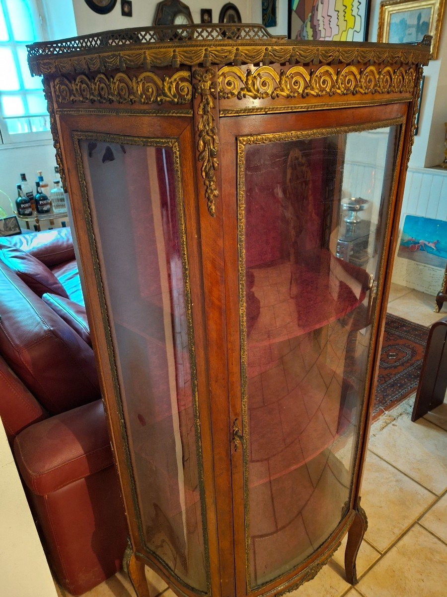 Curved Display Case N III -photo-3