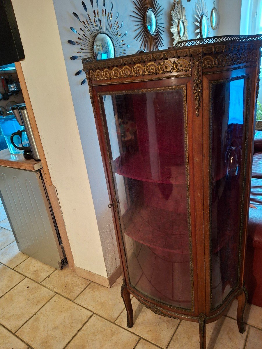 Curved Display Case N III -photo-4