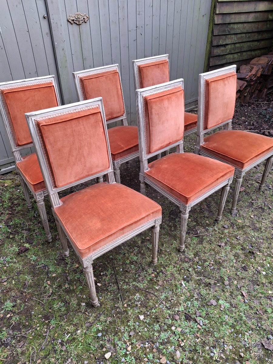  Louis XVI Style Chairs Set Of 6