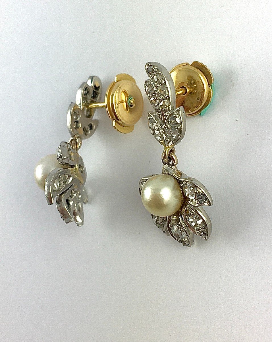 Plant Pattern Earrings Dangling Fine Pearls And Diamonds On Platinum And Yellow Gold -photo-6
