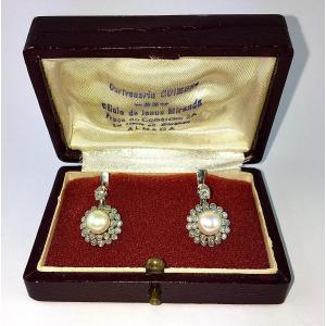 Boucles d'Oreilles Dormeuses Fleurs Perles De Culture Akoya Japonaises Diamants /Or Blanc Ecrin