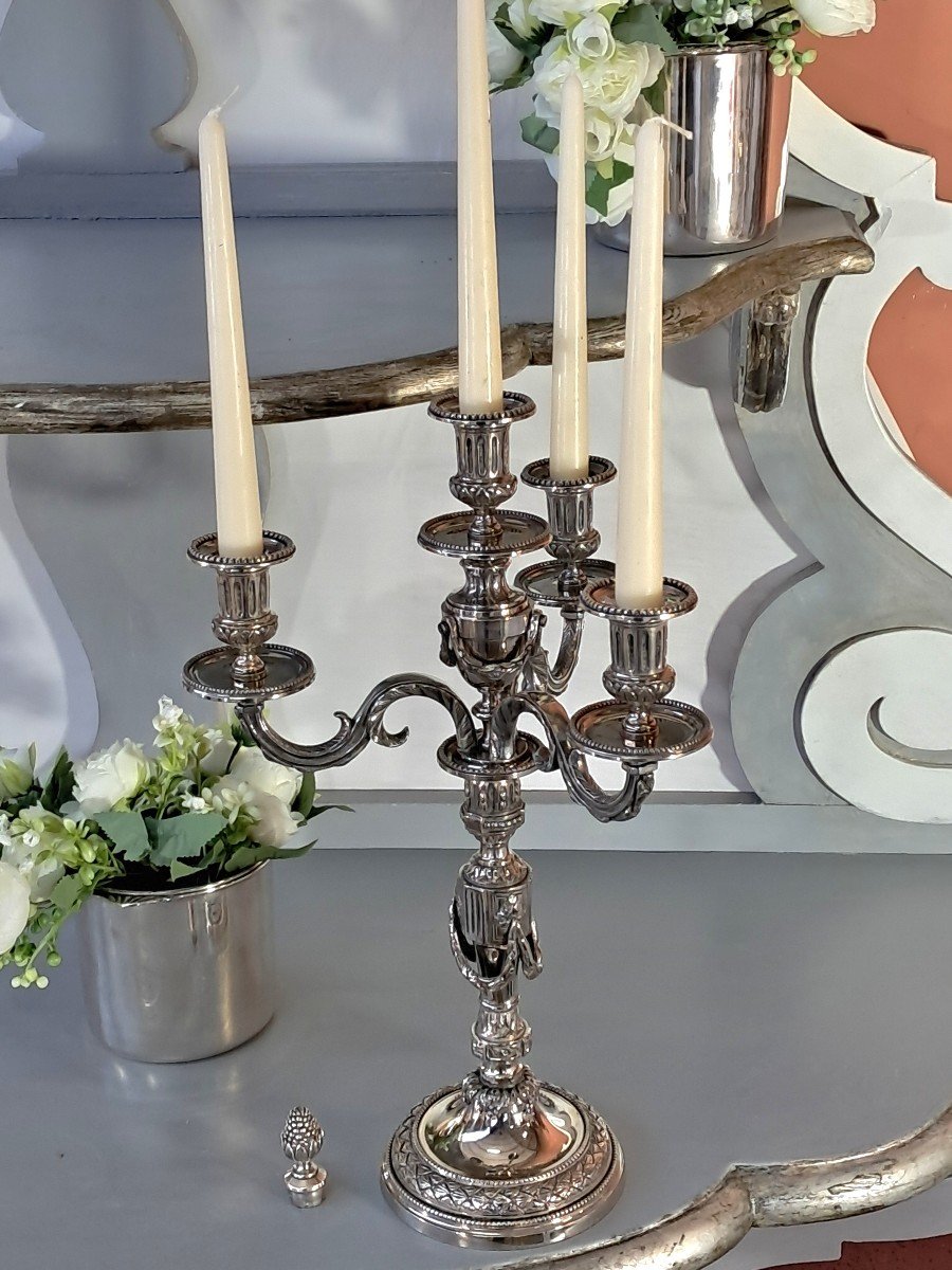 Paire De Candelabres à Guirlande Bronze Argenté  d' Esprit Louis XVI-photo-3