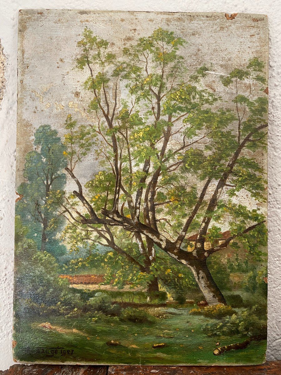 The Undergrowth. Signed A. Maugé And Dated 1928. Oil On Cardboard-photo-2