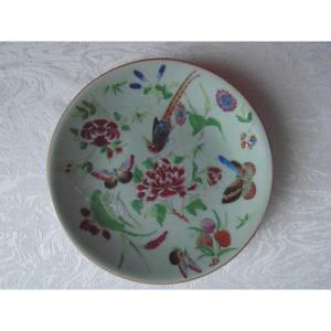 19th Century Chinese Celadon Porcelain Plate