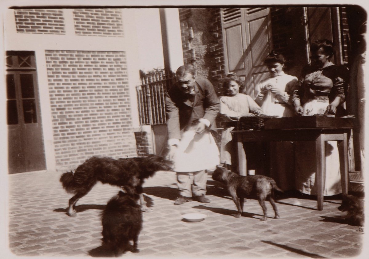 Original Photograph By Emile Zola - The Dogs' Meal - Médan