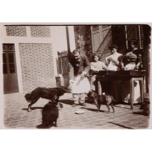 Photographie originale par Emile Zola - Le repas des chiens - Médan