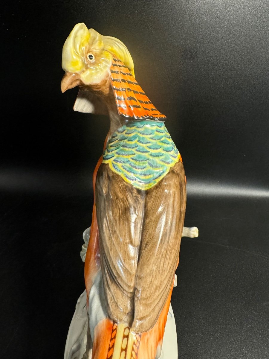 "golden Pheasant" By Karl Tutter-photo-7