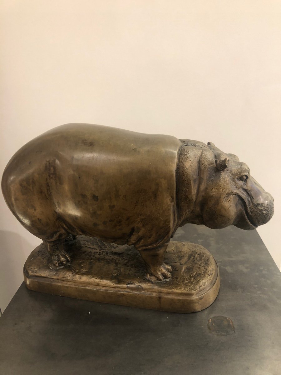 Hippopotamus In Bronze-photo-2