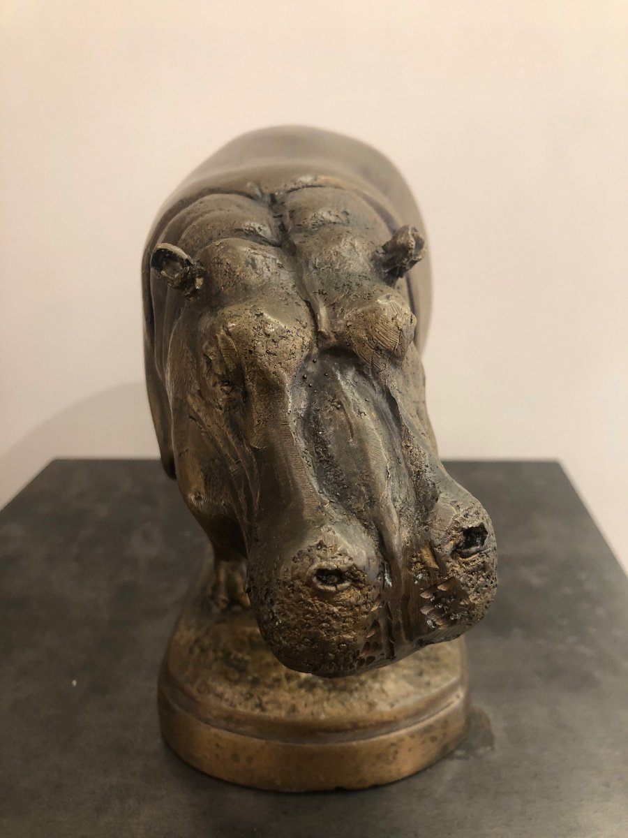 Hippopotamus In Bronze-photo-3