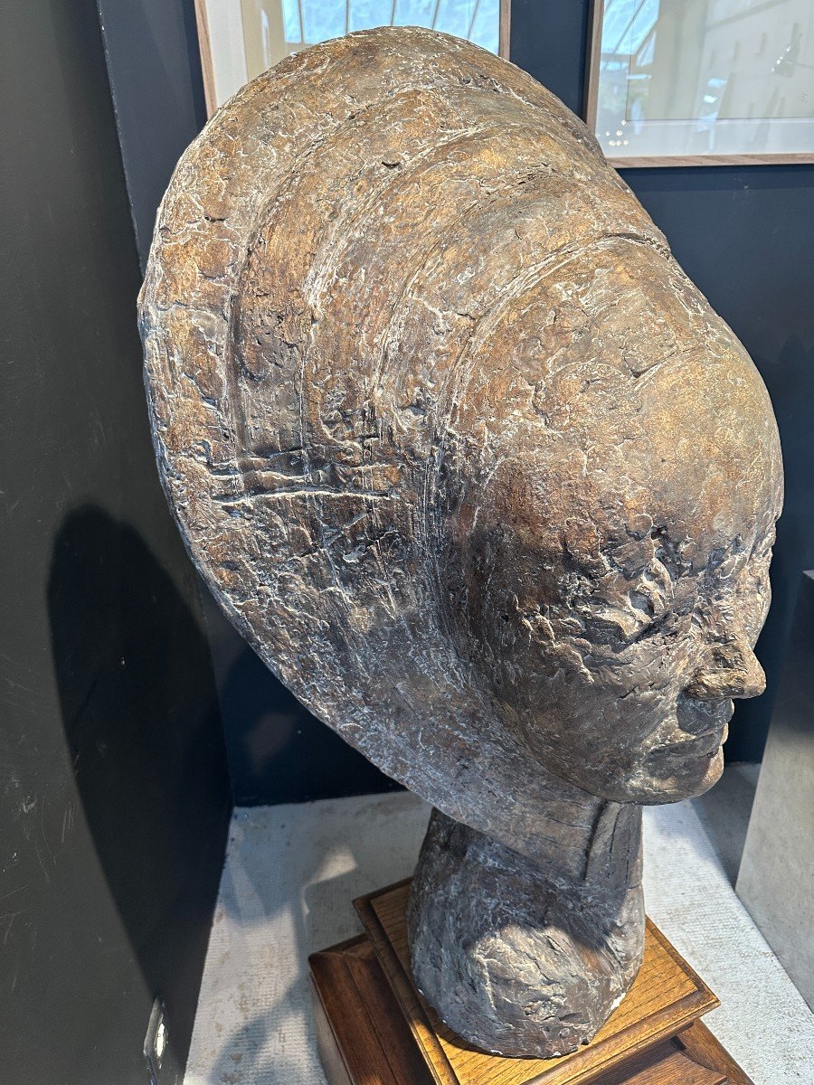 Large Plaster Head-photo-3