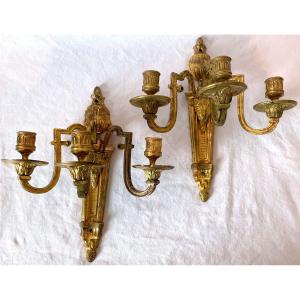 Pair Of Louis XVI Period Sconces In Gilt Bronze