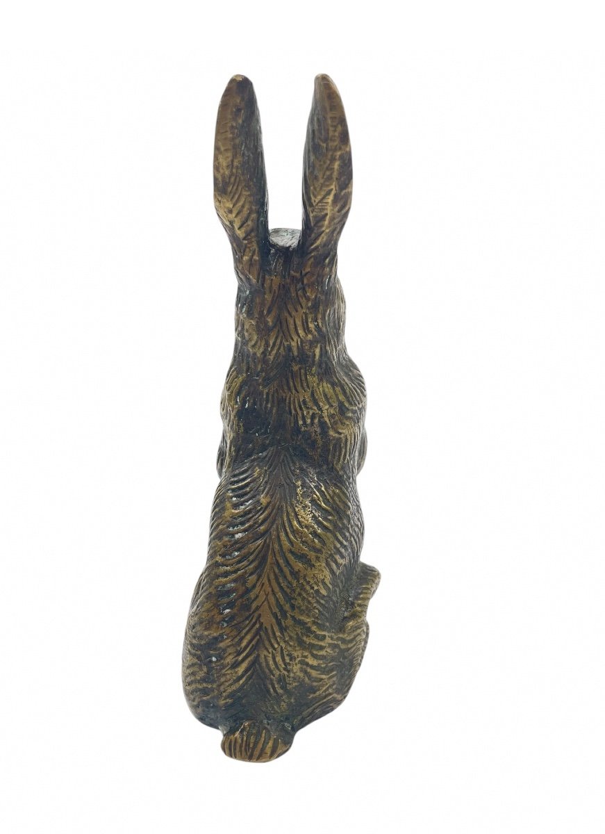 Bronze Hare -photo-3