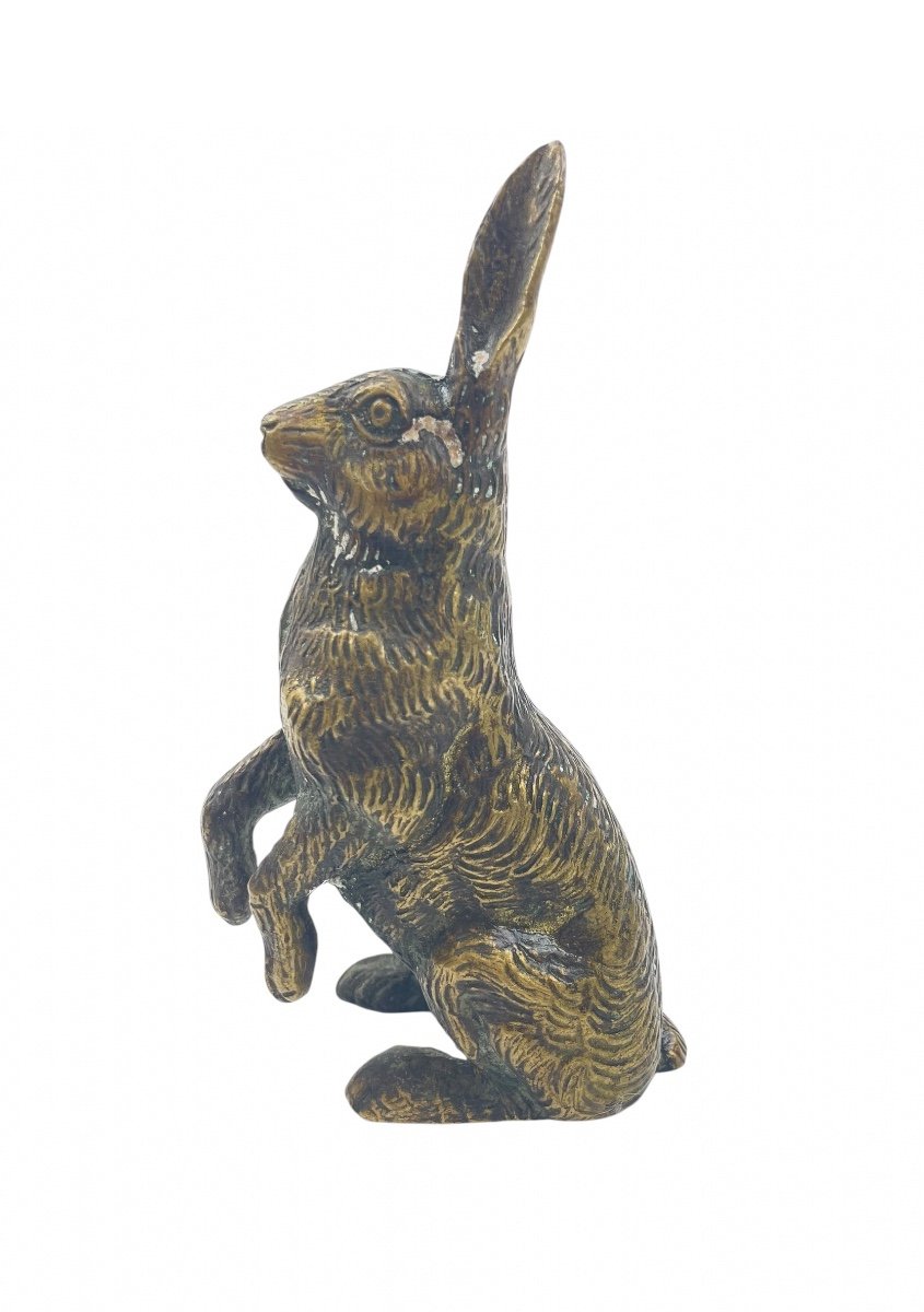 Bronze Hare -photo-4