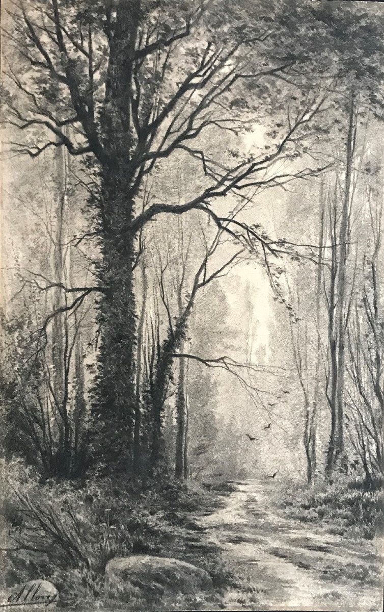 Proantic: Auguste Allongé: A Path In The Forest, Charcoal, Drawing