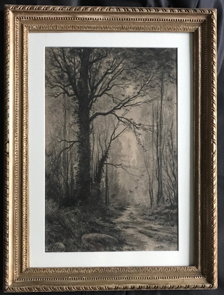 Proantic: Auguste Allongé: A Path In The Forest, Charcoal, Drawing