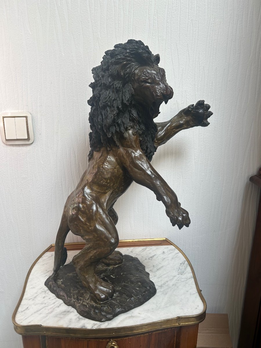 Bronze lion -photo-3