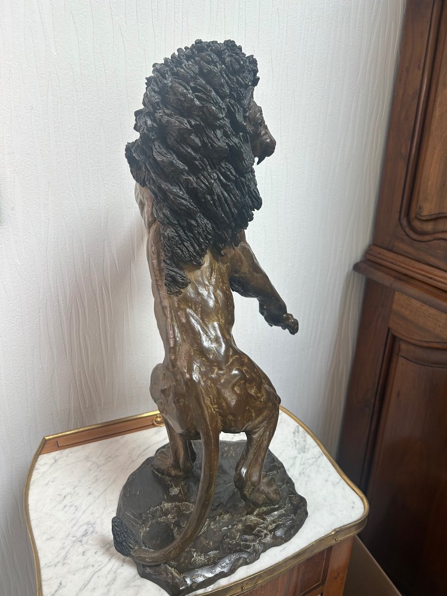 Bronze lion -photo-4