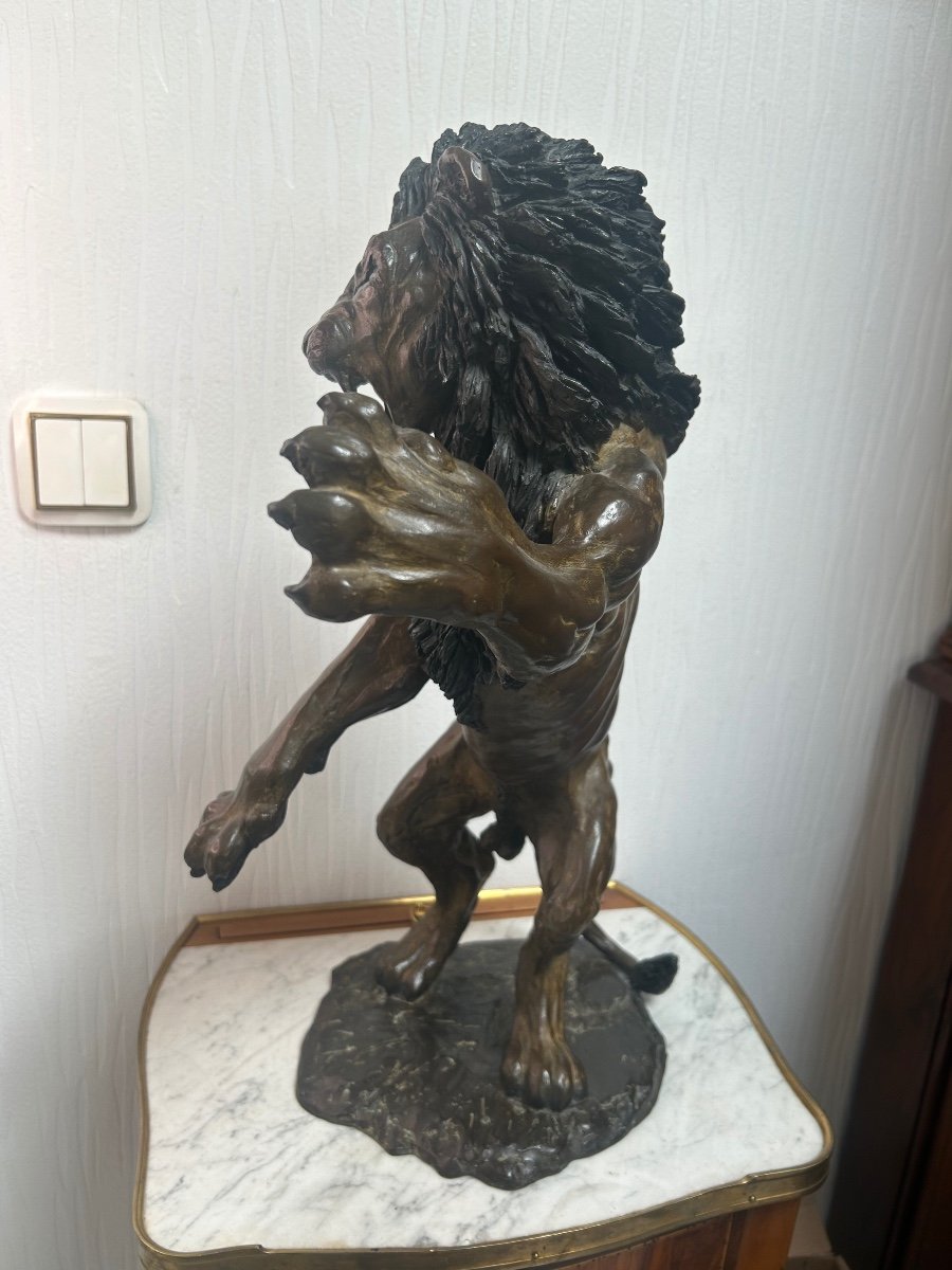 Bronze lion -photo-1