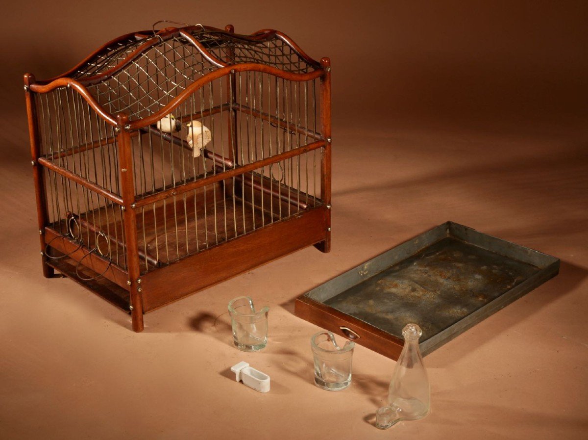 Proantic: Rare Anglo-dutch Mahogany And Brass Bird Cage Circa 1870