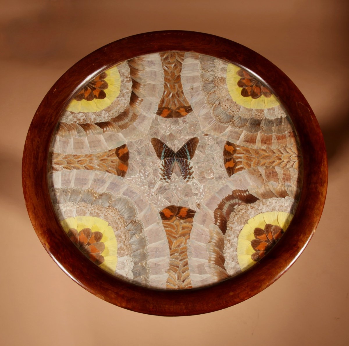 A Brazilian Butterfly Table, Circa 1900-20-photo-3