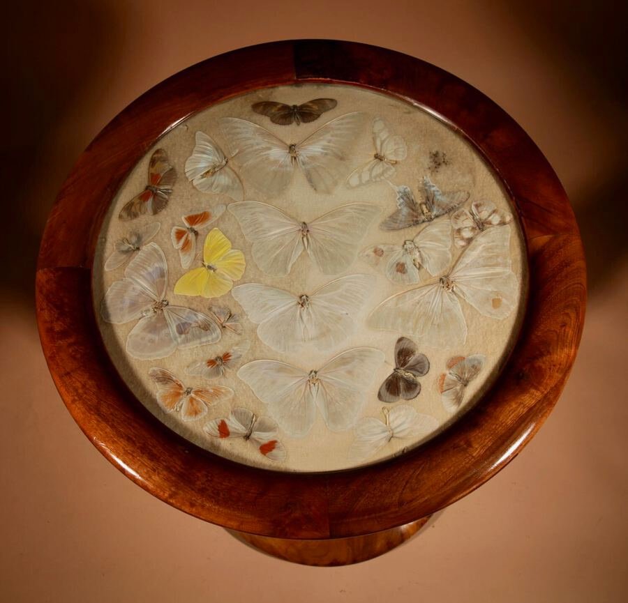  A Brazilian Butterfly Table, Circa 1900-20-photo-2