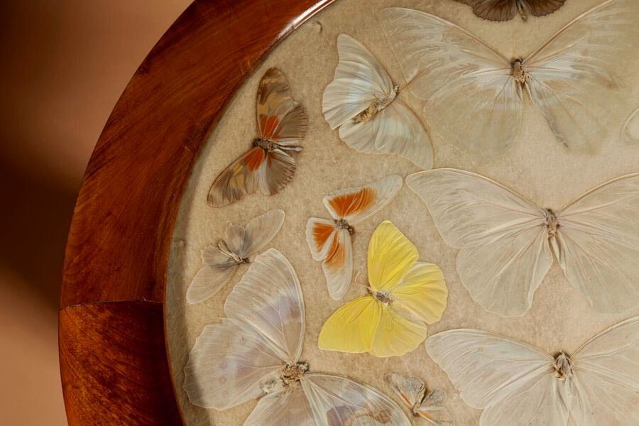  A Brazilian Butterfly Table, Circa 1900-20-photo-3