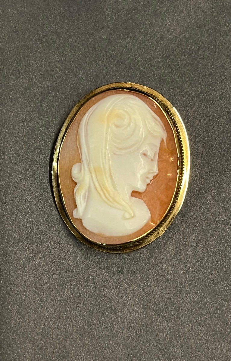 Women's Camé Jewelry Pendant / Brooch In 750 Gold -photo-3