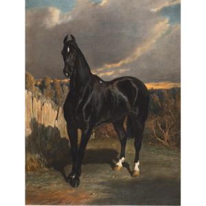Alfred  De Dreux (1810-1860), Black Knight