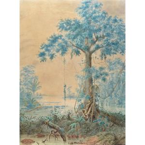 Christian Anton Goering (1836-1905), Rainforest, Orinoco Delta, Venezuela