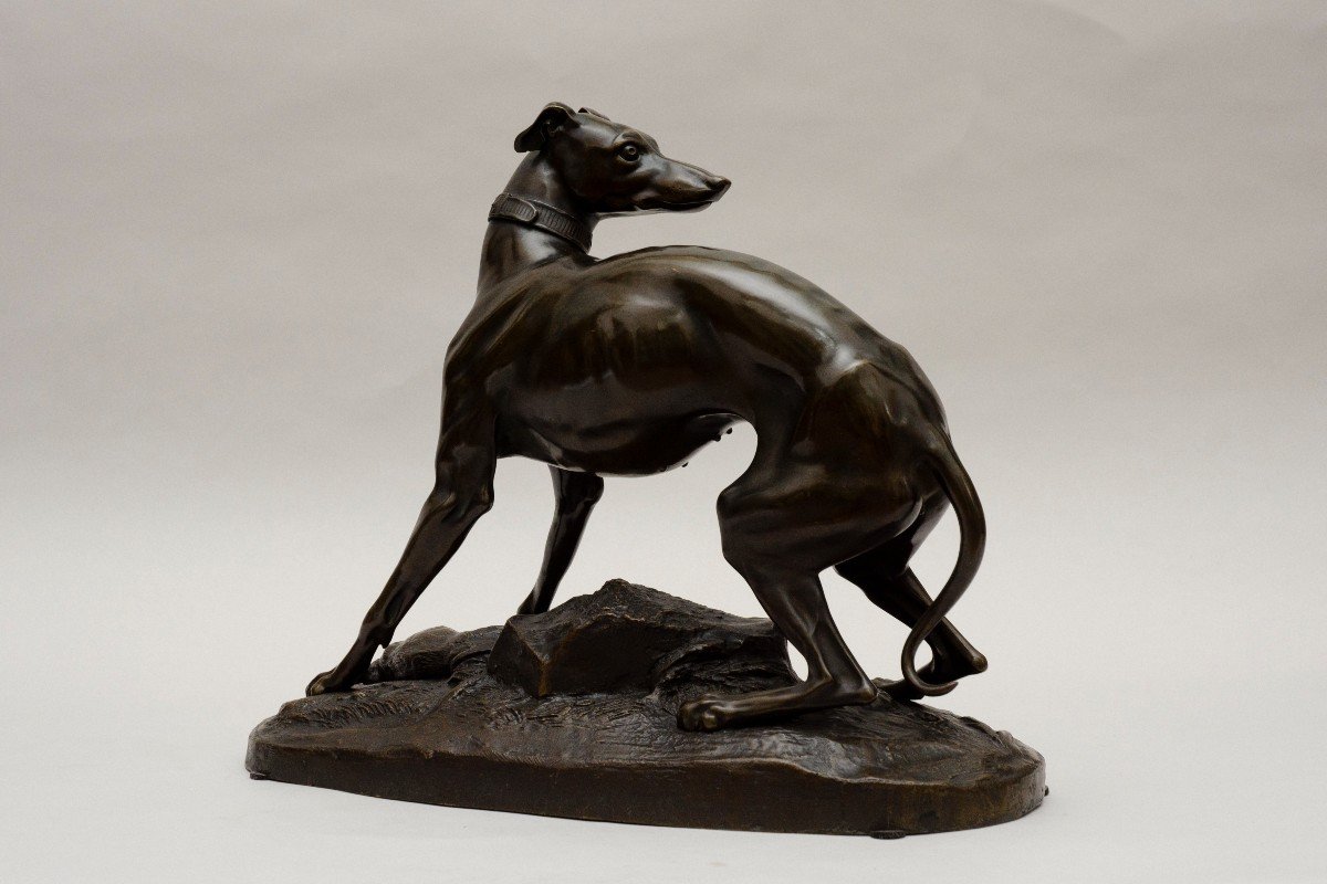 Bronze "greyhound", Jean-françois-théodore Gechter, Circa 1843-photo-2