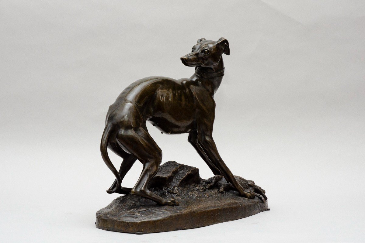 Bronze "greyhound", Jean-françois-théodore Gechter, Circa 1843-photo-4