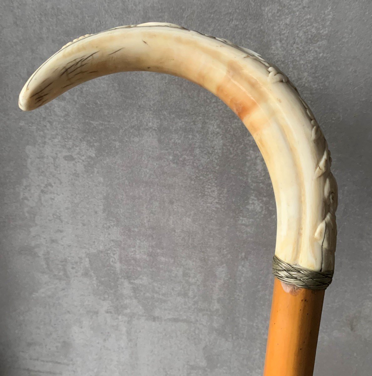 Cane In Malacca Wood And Carved Warthog Tusk 19th-photo-2