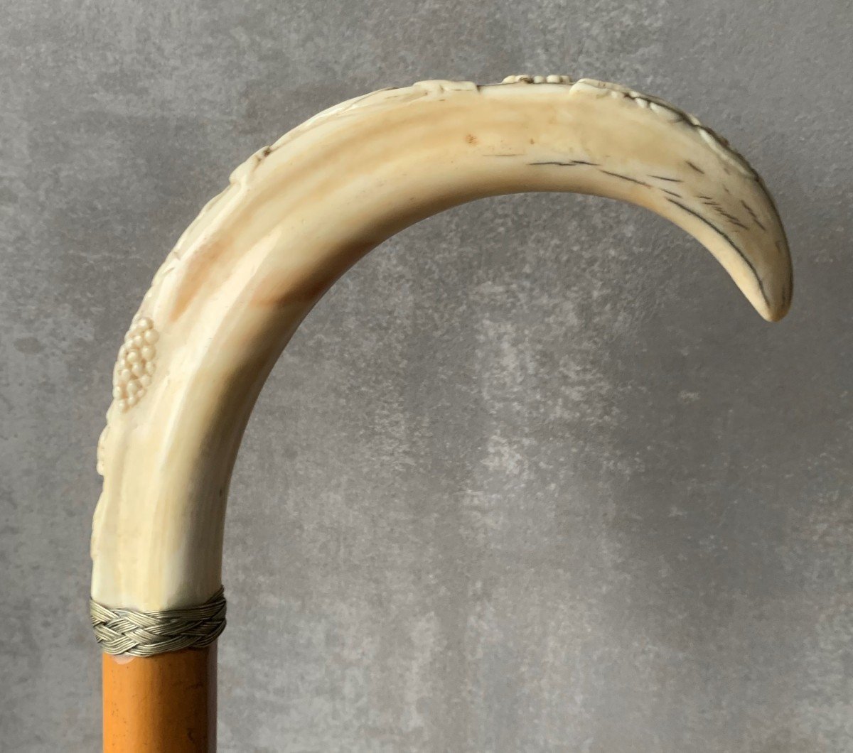 Cane In Malacca Wood And Carved Warthog Tusk 19th-photo-3